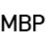 Thumbnail of Michael Blackwood Productions | Art & Architecture Documentaries