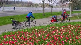 Thumbnail of Cycling Guide now supports getting routes inOttawa