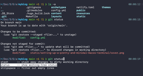 Thumbnail of Setting Up a Pretty and Minimal macOS Terminal