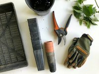 Thumbnail of Trying to understand my resistance to second brains, digital gardens, and other interesting note-taking concepts — Sam Spurlin