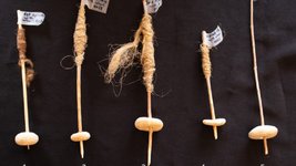 Thumbnail of Key wheel ideas may have come from weaving