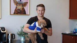 Thumbnail of Pet care with 24/7 vet access is here