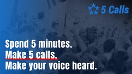 Thumbnail of 5 Calls