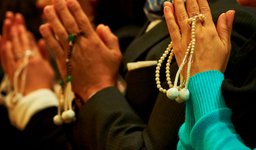 Thumbnail of Who Cares About Diversity?