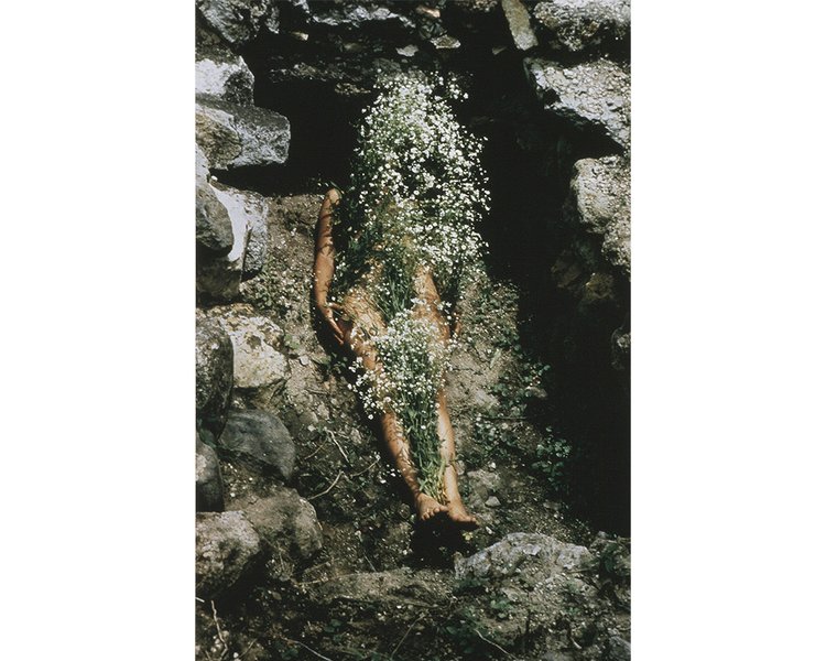 Thumbnail of Performed Invisibility: Ana Mendieta’s 'Siluetas'