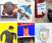 Thumbnail of Pablo Rochat Studio