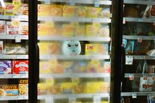 Thumbnail of They’re Stuffed Animals. They’re Also A.I. Chatbots.