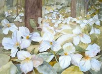 Thumbnail of Stillness as the Gateway to the Heart