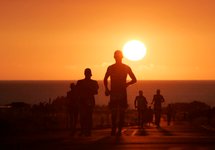 Thumbnail of How exercise may be the ‘most potent medical intervention ever known'