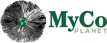 Thumbnail of Fresh Gourmet Mushrooms | Mushroom Grow Kits Kansas City