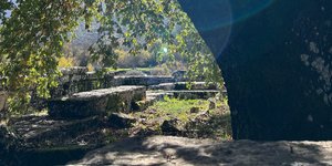 Thumbnail of Anima Mundi, Anima Individualis