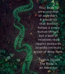 Thumbnail of Found on Cosmos