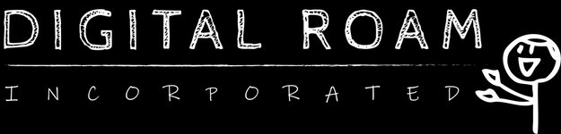 Thumbnail of DIGITAL ROAM INC