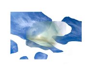 Thumbnail of Plant Futures — Annelie Berner