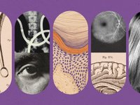 Thumbnail of The Atlantic's Sarah Zhang on covering the science and emotion of ...
