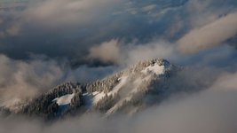 Thumbnail of Snow Fall: The Avalanche at Tunnel Creek
