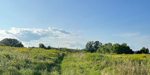 Thumbnail of How I bought 6.74 acres of rural land with a loan.