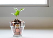 Thumbnail of The beautiful budget