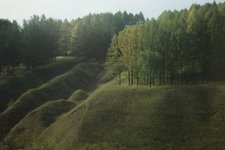 Thumbnail of Translating Intuition Into Strategy: How to Honor Your Authentic Voice in Business Decisions