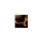 Thumbnail of Tortoise Knob • Square — ELYSE GRAHAM
