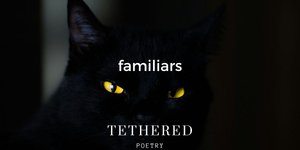 Thumbnail of familiars