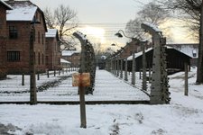 Thumbnail of Opinion | The GOP's Transphobia Is As Much of A "Distraction" As Hitler's Anti-Semitism Was. Will Democrats Learn From History?