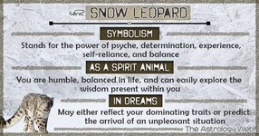 Thumbnail of Snow Leopard Meaning and Symbolism