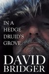 Thumbnail of In A Hedge Druid’s Grove