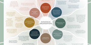 Thumbnail of The Ecological Organisations Framework