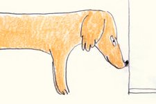 Thumbnail of What My Dog Taught Me About Mortality