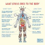 Thumbnail of As a therapist, I hate to break it to you, but...If your nervous system is stuck in “survival mode,” no amount of journaling or meditation will save you.