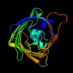 Thumbnail of ML for protein engineering seminar series | Nhat Hoang Phan