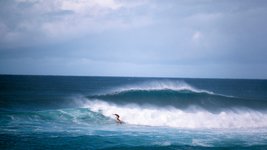Thumbnail of Equanimity is not stillness – it is a mobility of the mind | Psyche Ideas