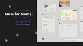 Thumbnail of Muse for Teams