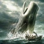 Thumbnail of The Whale