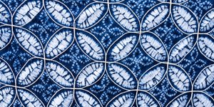 Thumbnail of The Art of Shibori, a Traditional Japanese Dye Technique
