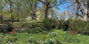 Thumbnail of #179: Beyond Routines