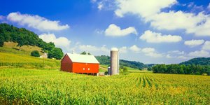 Thumbnail of Why I'm Resigning From The Intercept