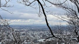 Thumbnail of Is New Jersey the next swing state?