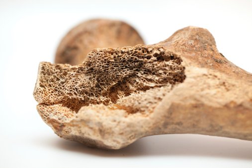 Preview of bone-texture
