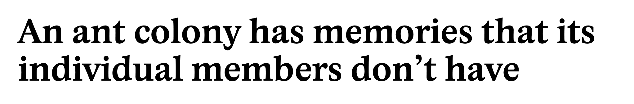 Thumbnail of An ant colony has memories that its individual members don’t have | Are.na