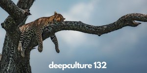 Thumbnail of deepculture ▪️ 132