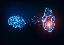 Thumbnail of The Heart-Mind Connection