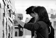 Thumbnail of The Futile Search for the Bullsh*t-Less Job