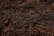 Thumbnail of Dirt