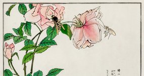 Thumbnail of ‘Sympoiesis’: An Environmental Keyword For New Nature Writers