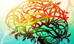 Thumbnail of What Plants Are Saying About Us