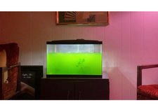 Thumbnail of "I Always Wanted to Participate": In Conversation with Vijay Masharani - Momus