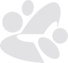 Thumbnail of hvnter.net