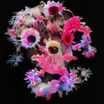 Thumbnail of The Anthropocene
